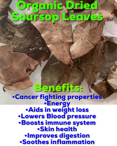 Organic Dried Soursop Leaves