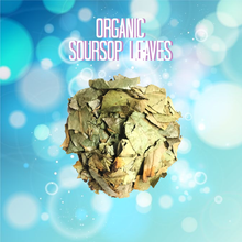 Load image into Gallery viewer, Organic Dried Soursop Leaves
